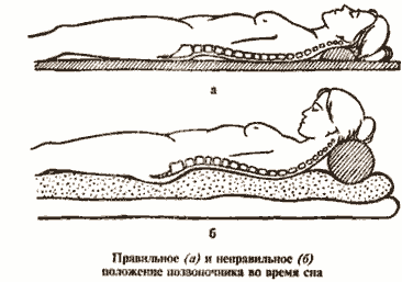 pravila-zdoroviy-nishi-0-3443216